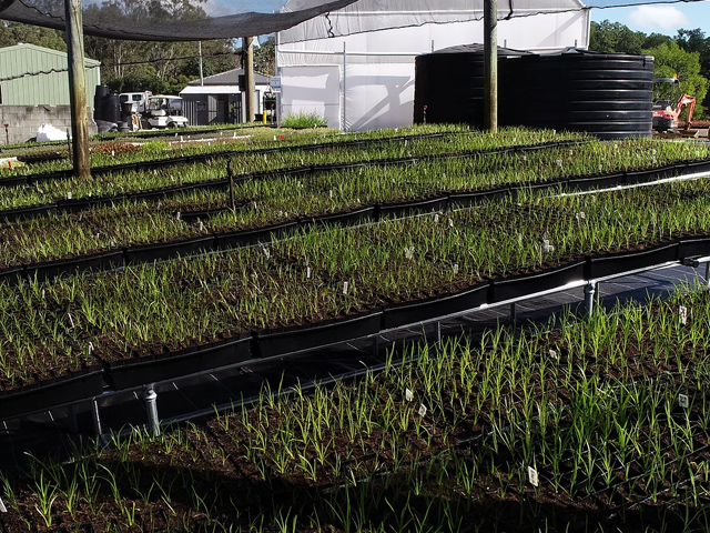 Environmental & Sustainability Policy